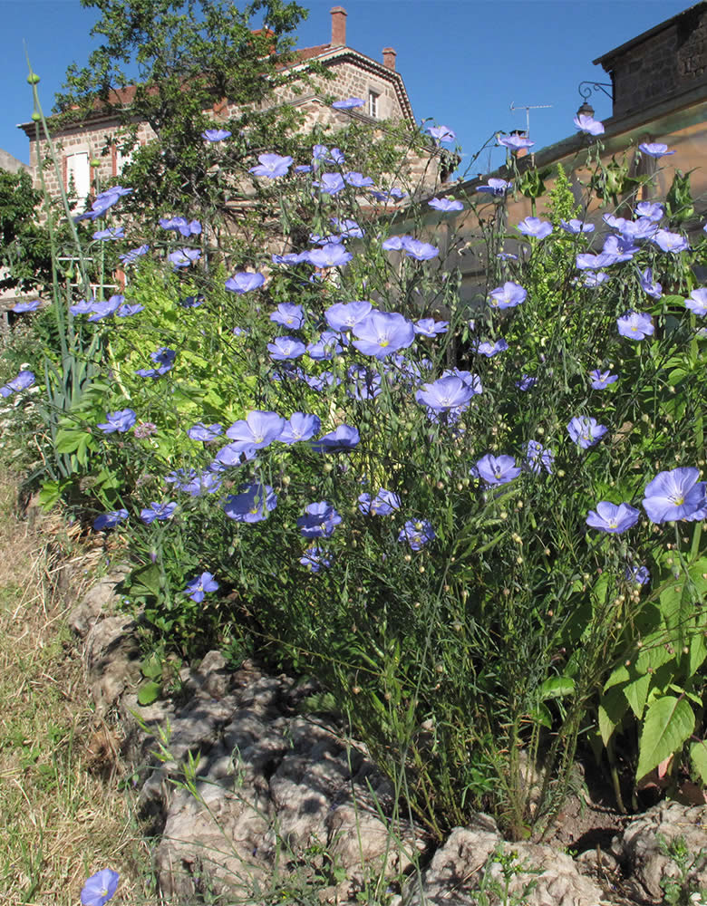 paysage-3