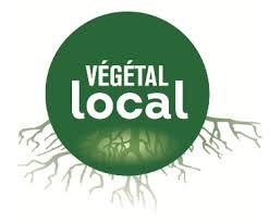 vegetal local